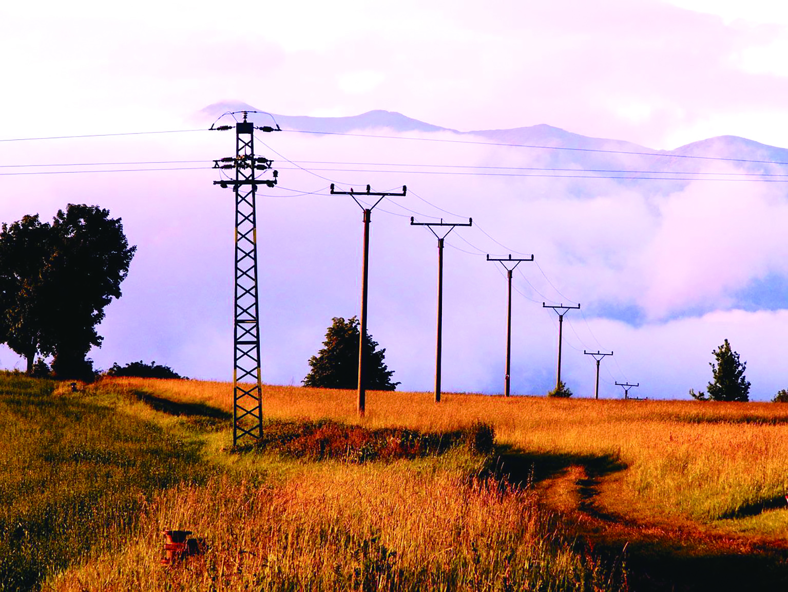 bab328f568084b6d8c5e5abd7b484620